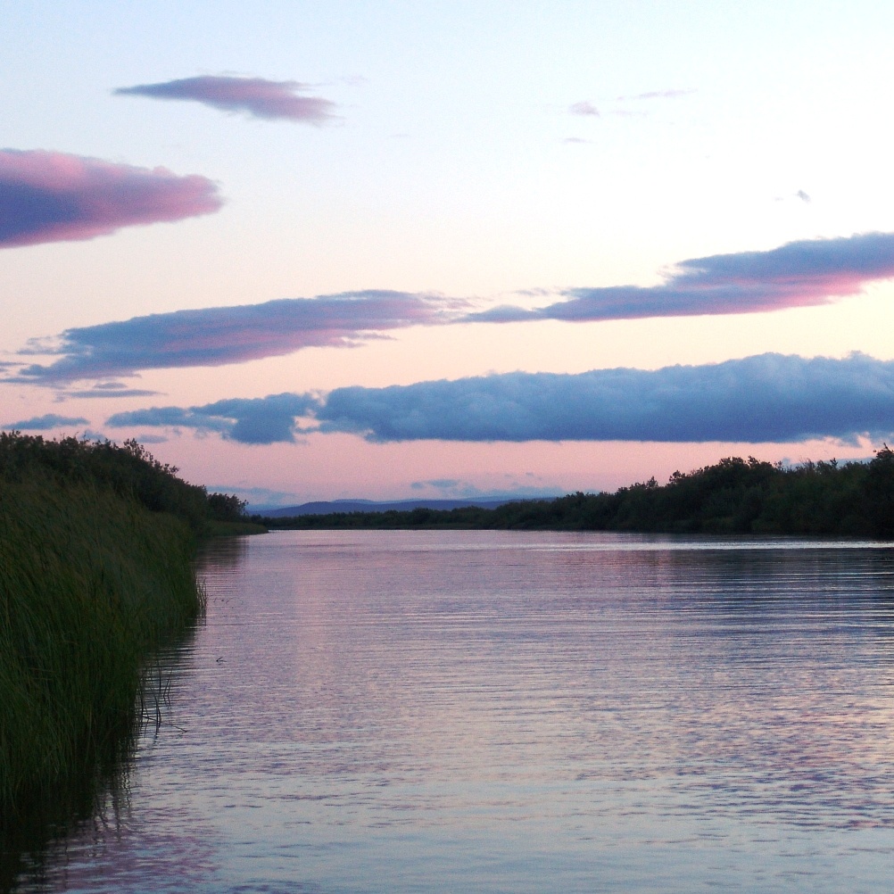 Это ночь. Понял, почему тогда не сиделось нам над тихим плесом с удочкой. Впитывая тишину, покой и волю. Потому что ведро рыбы можно было наловить минут за двадцать. 