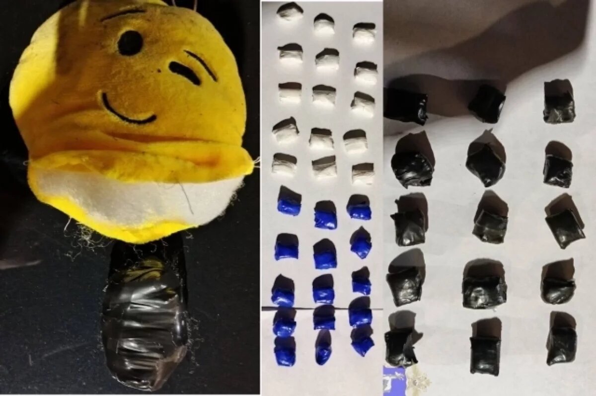    Сызранку, попавшуюся на перевозке наркотиков в мягкой игрушке, ждёт суд