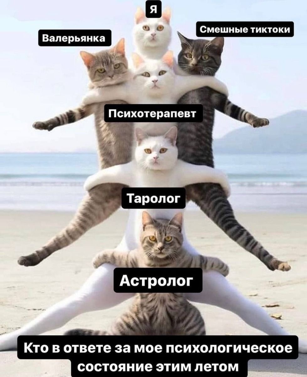 Фото из просторов интернета 