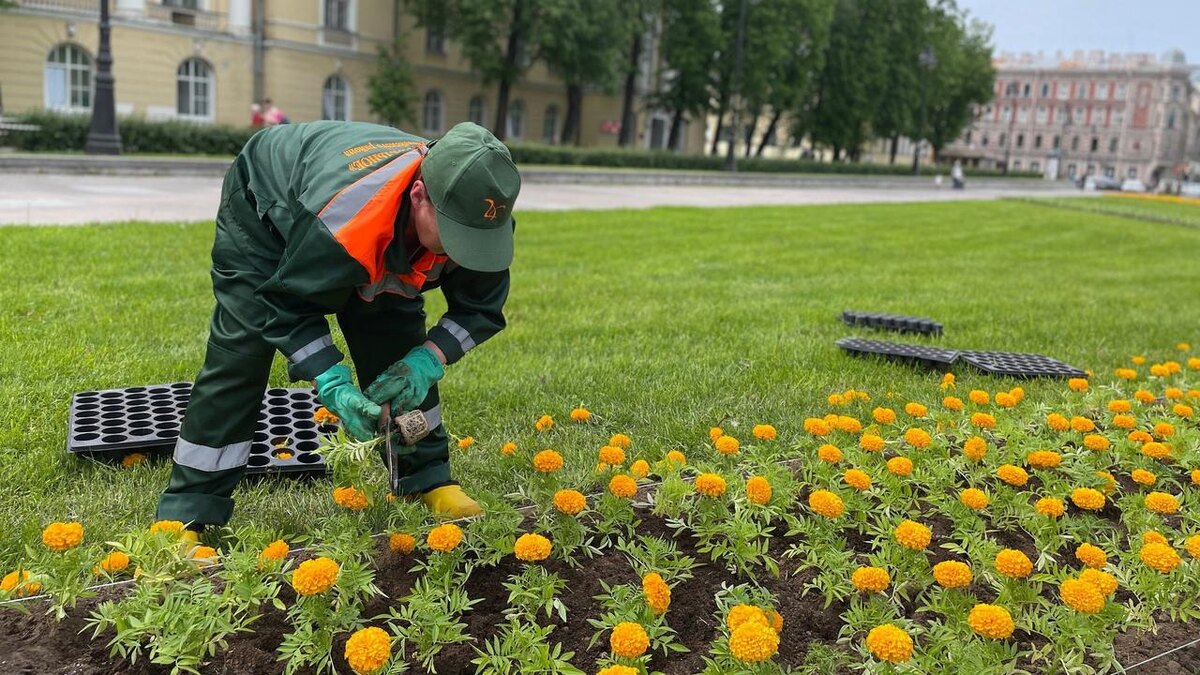    Фото: пресс-служба комитета по благоустройству