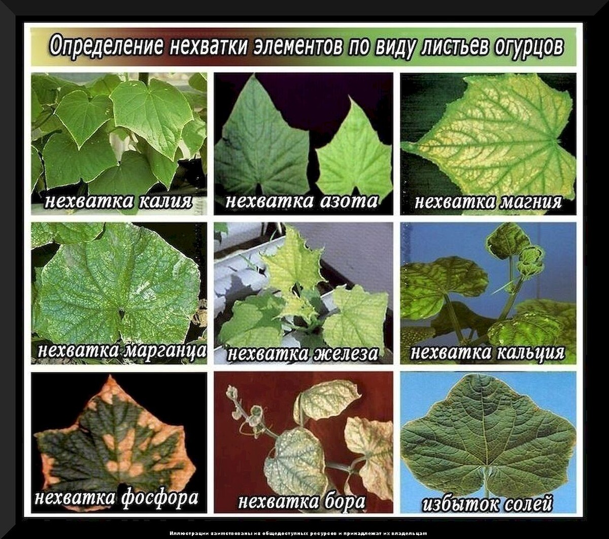 https://vk.com/photo-159774511_457271433