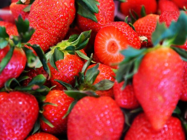    Фото: Москва 24/Антон Великжанин