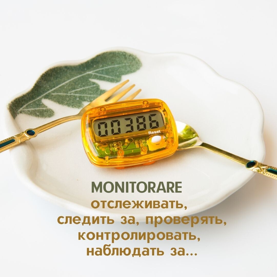 Monitorare Итальянский язык с Анастасией Тороп Академия Анвила 