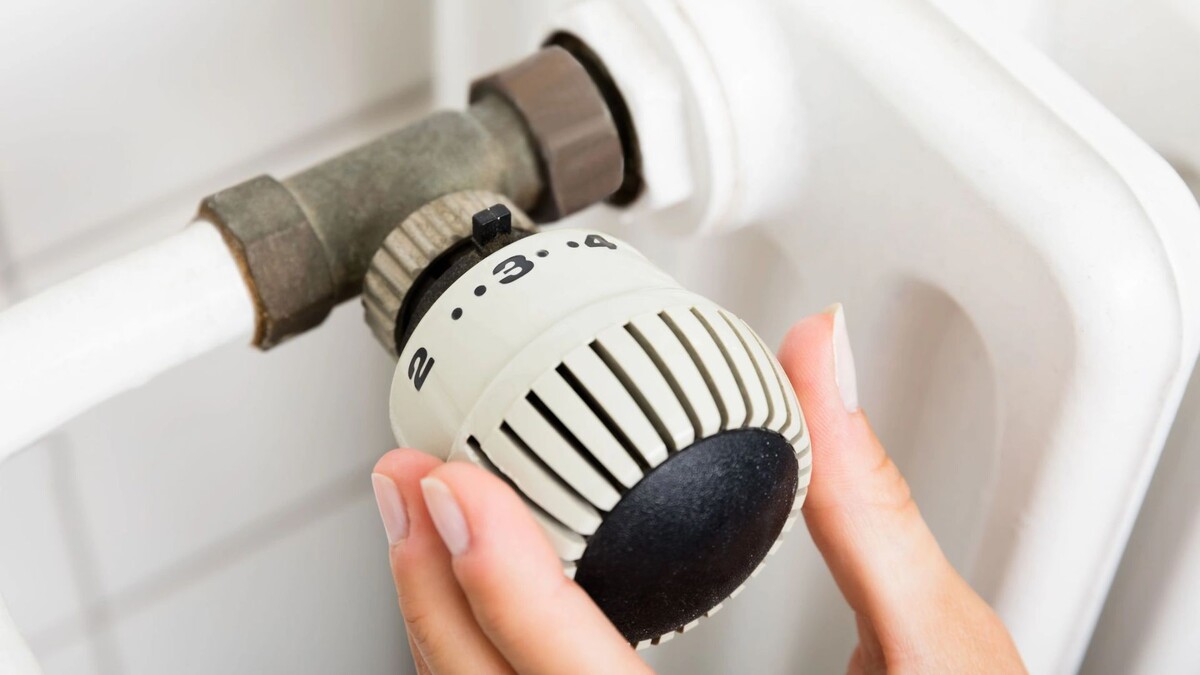    Фото: Andrey_Popov/Shutterstock/Fotodom