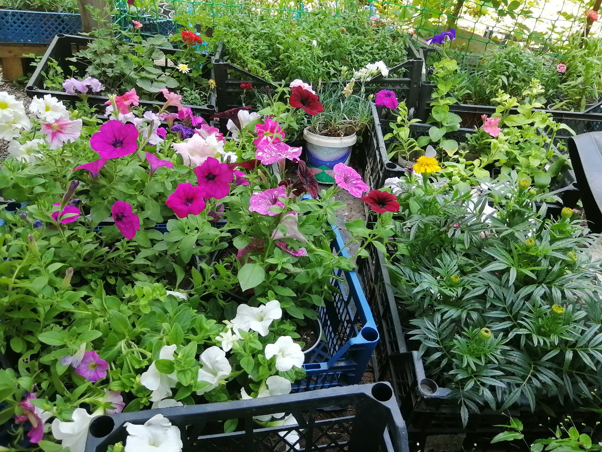 Мои остатки