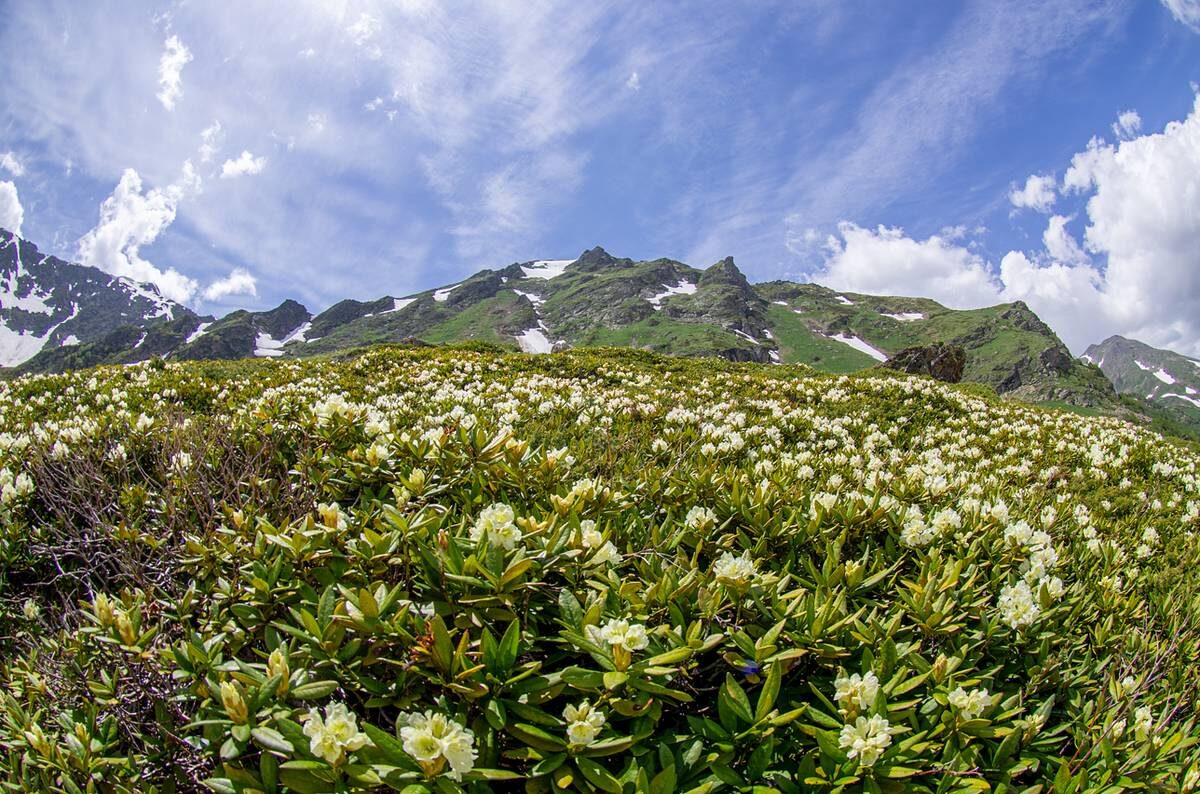 Фото: Иван Губский/ТАС