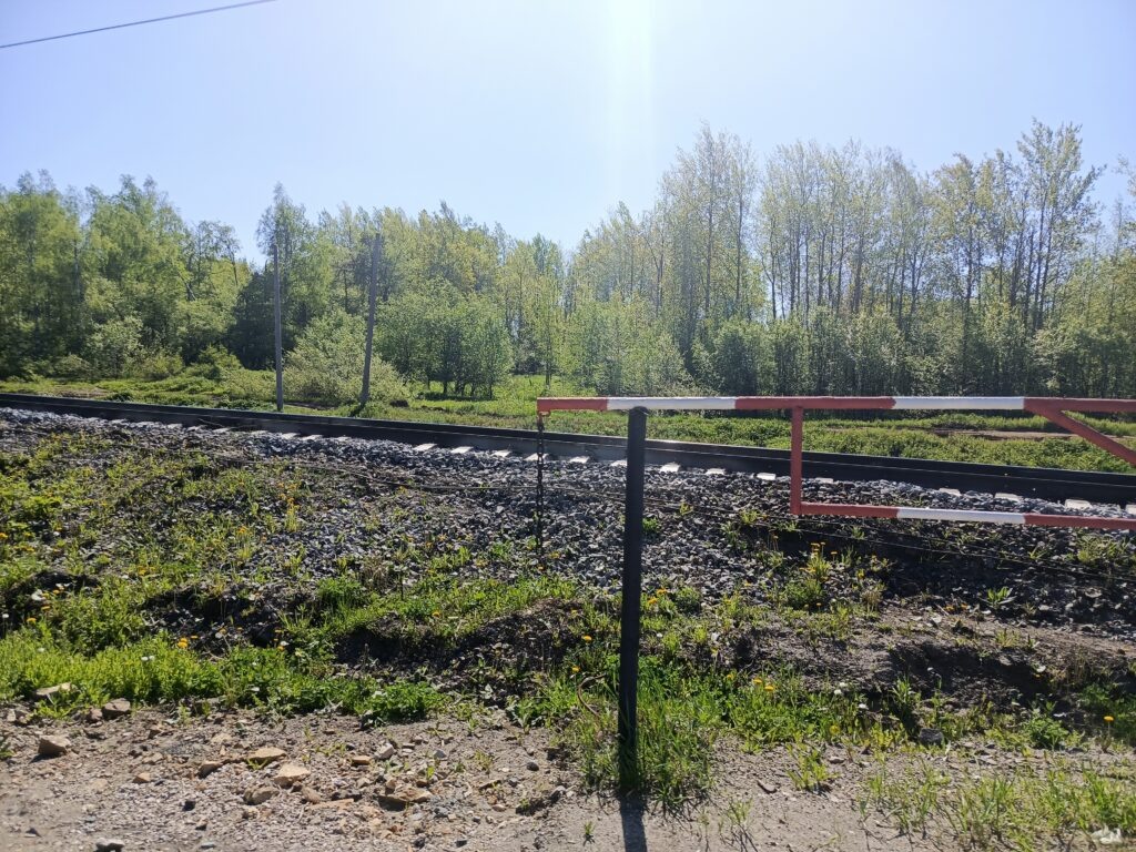    Фото: Ульяна Бажанова Ульяна Бажанова