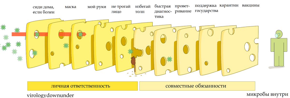 модель швейцарского сыра