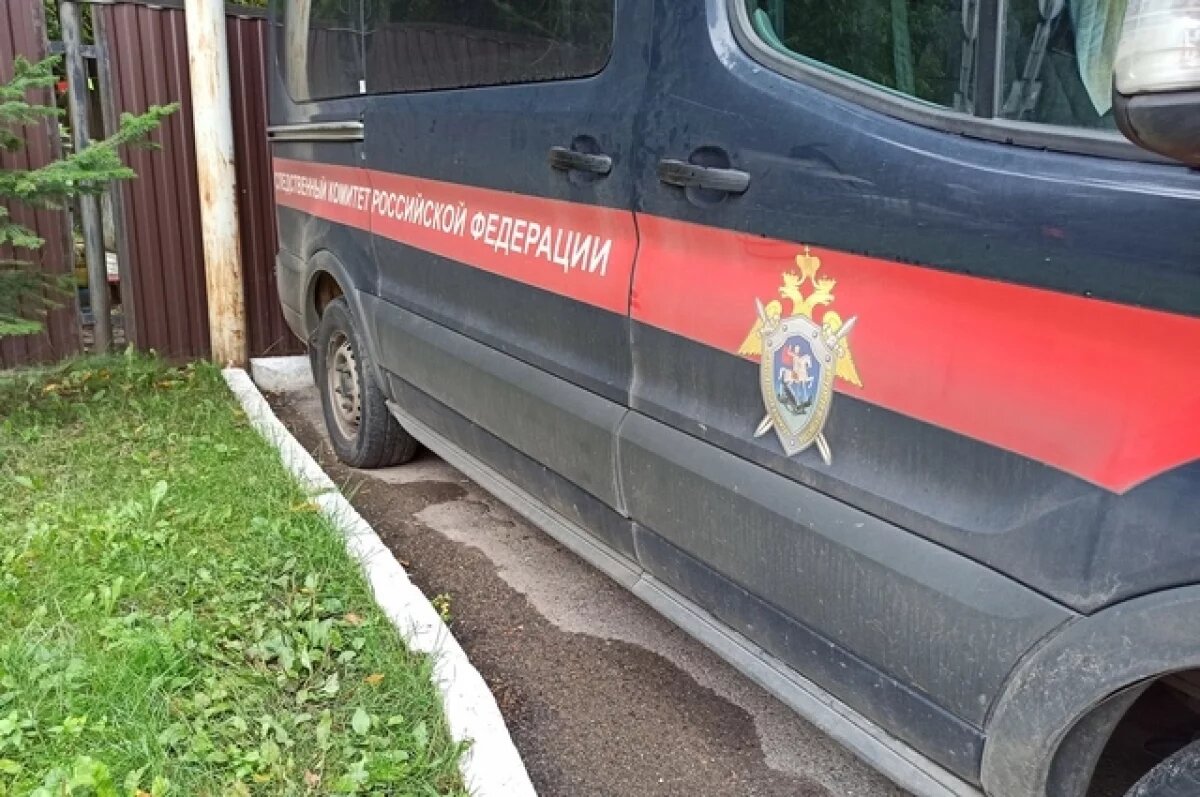    СКР Башкирии возбудил дело по ДТП, которое унесло жизнь 16-летней девушки