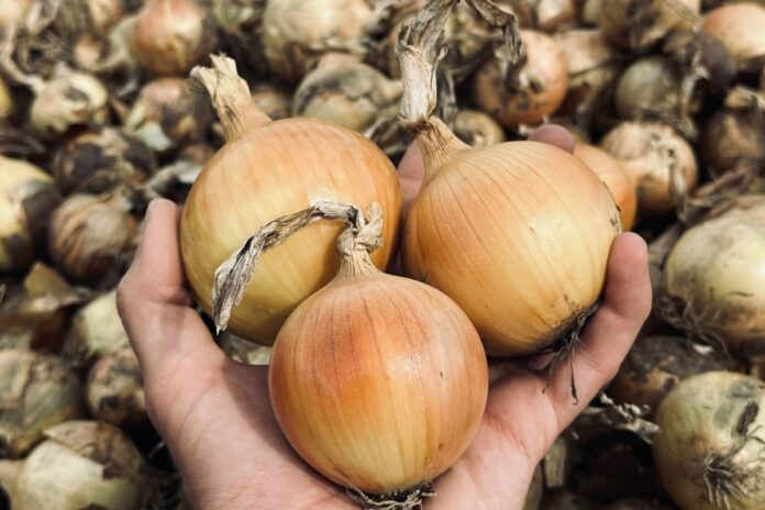 Урожай 2018 г. Фото из личного архива