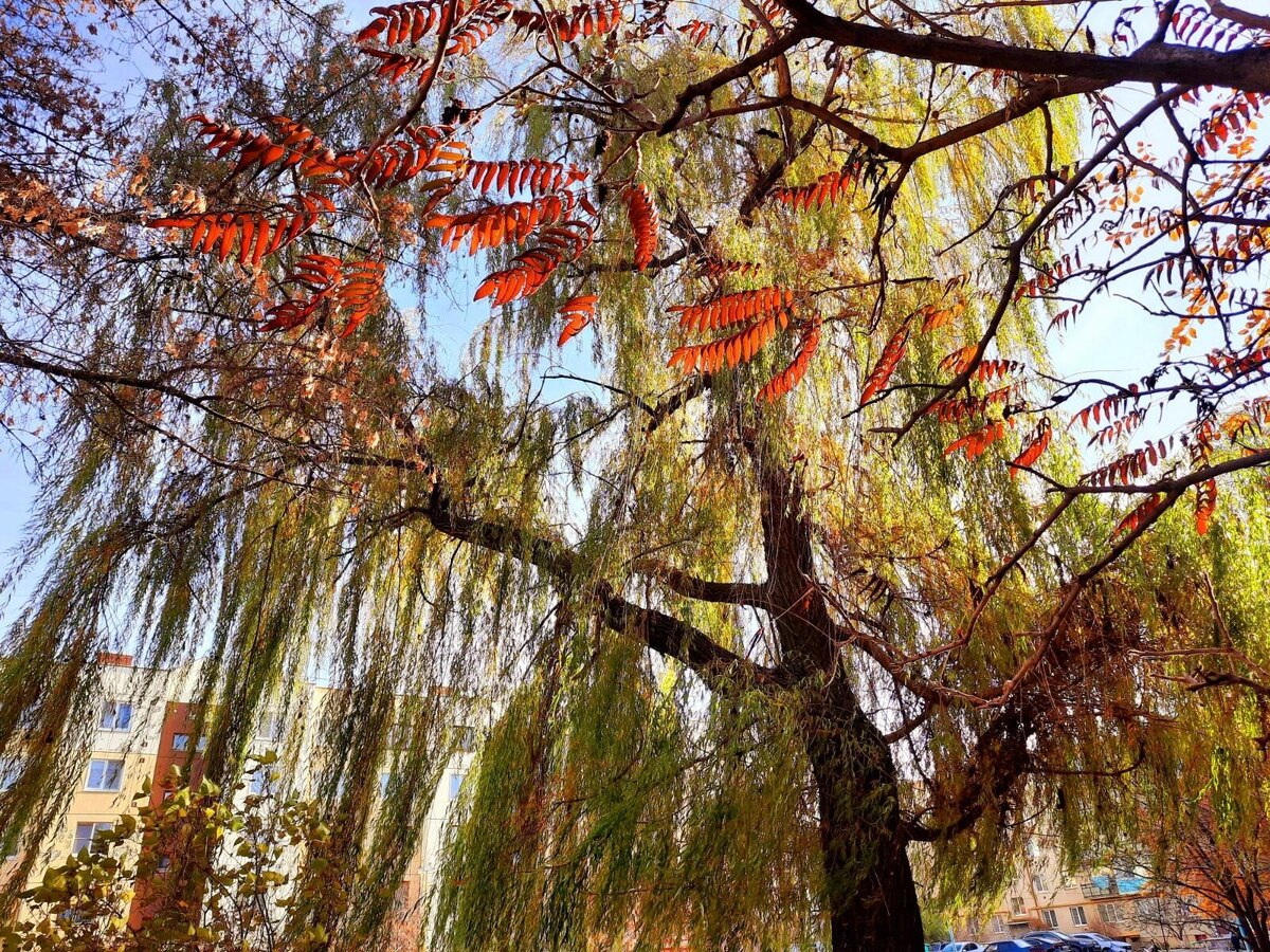 Авторское фото из моего фото-архива