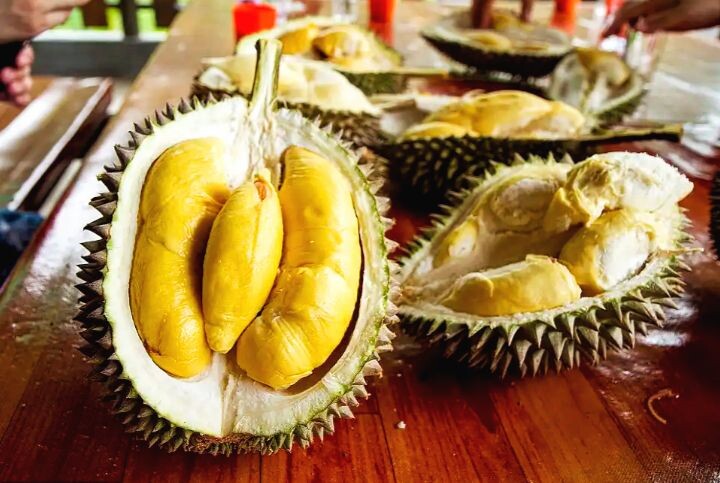 Фото взято из открытых источников 