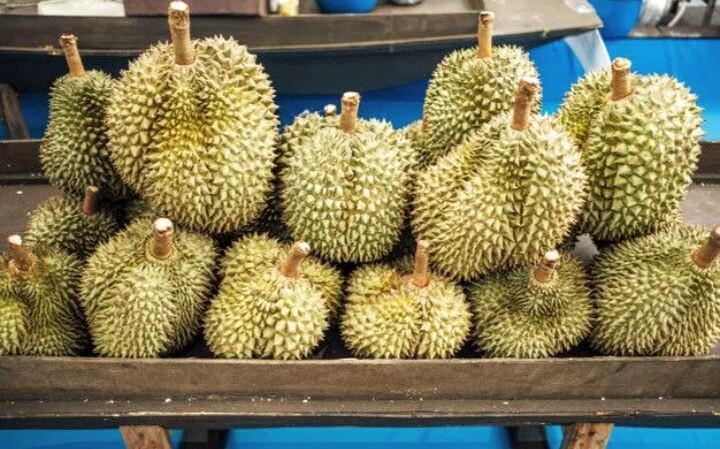 Фото взято из открытых источников 