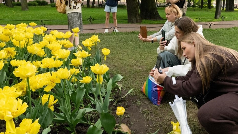    Автор фото: Тихонов Михаил