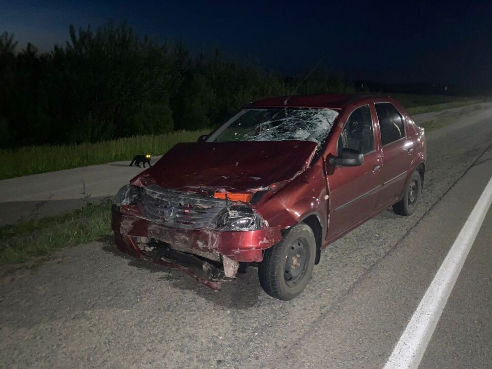    ДТП в Ребрихинском районе. Источник: СУ СКР по Алтайскому краю