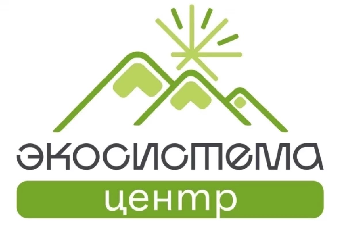    Камчатцы могут зарегистрироваться на детские профильные смены «Экосистемы»