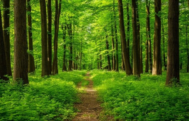     Фото заставочное сгенерировано ИИ