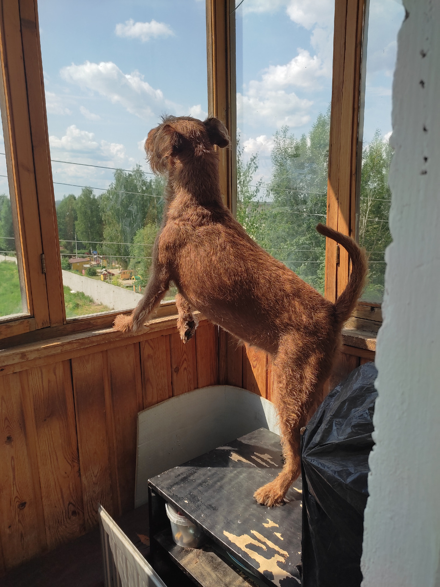 Небо зовëт... 