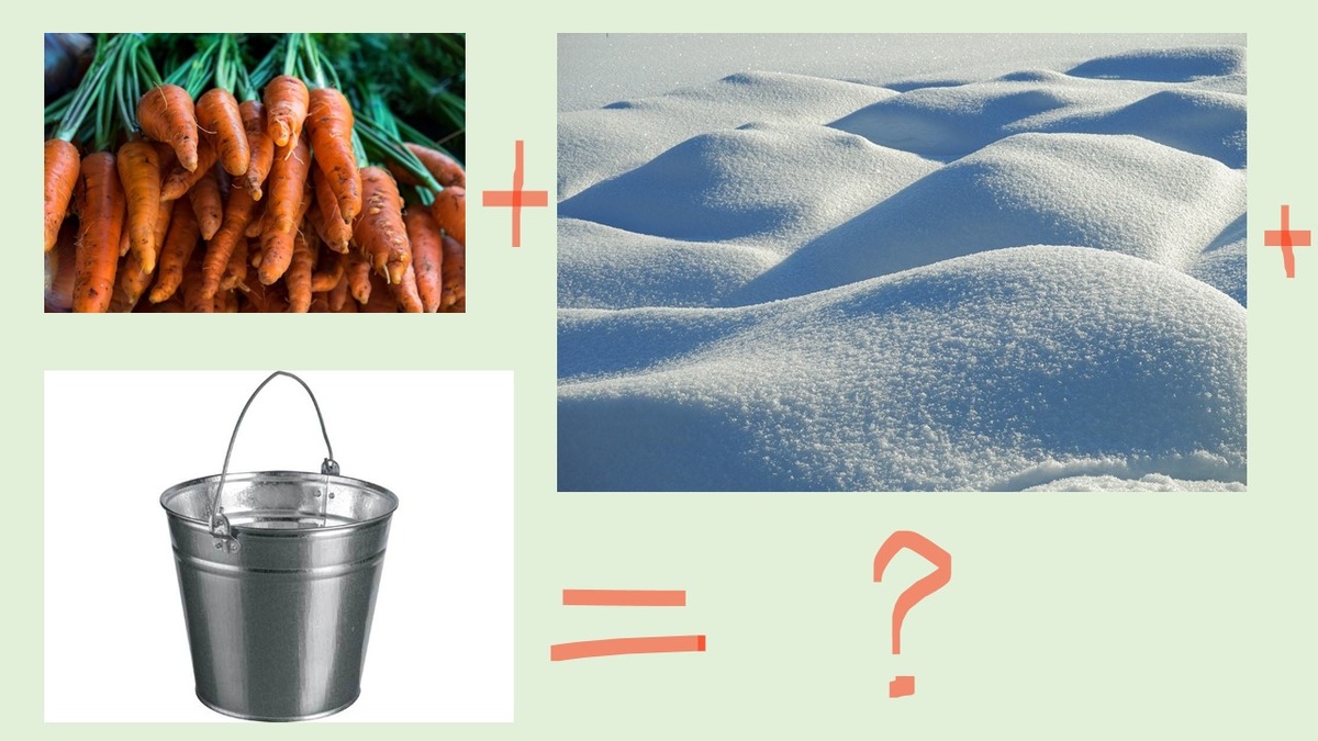 Ведро плюс морковь, плюс снег?