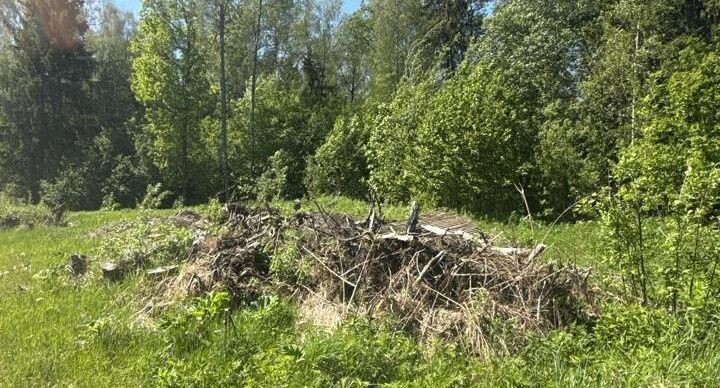    Комитет лесного хозяйства Московской области