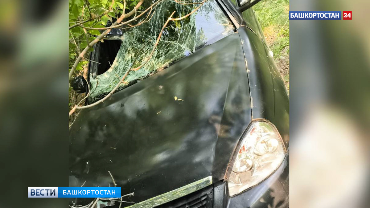    В СК возбудили уголовное дело после гибели в ДТП 16-летней школьницы в Башкортостане