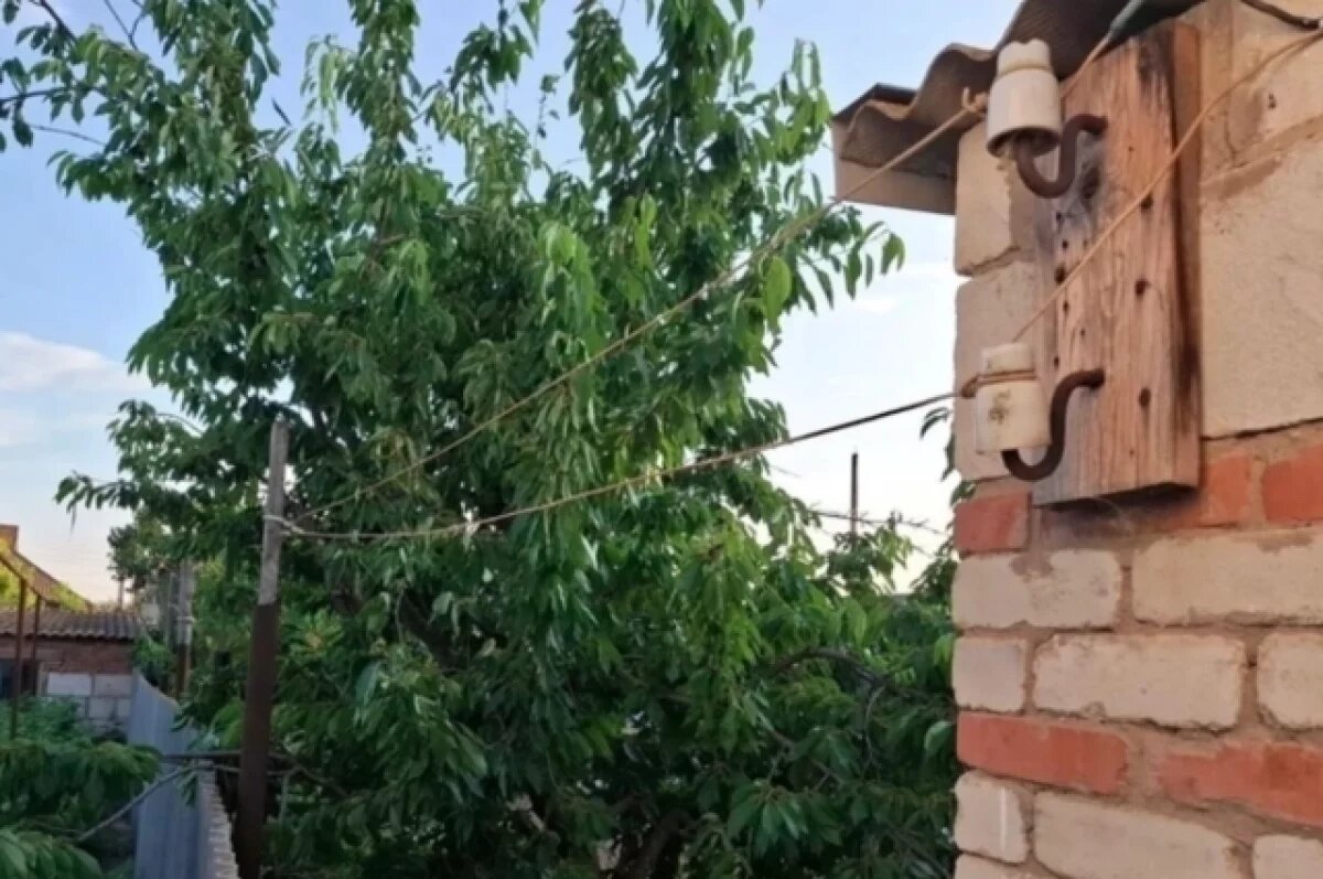    Мальчик схватил за оголенный провод.