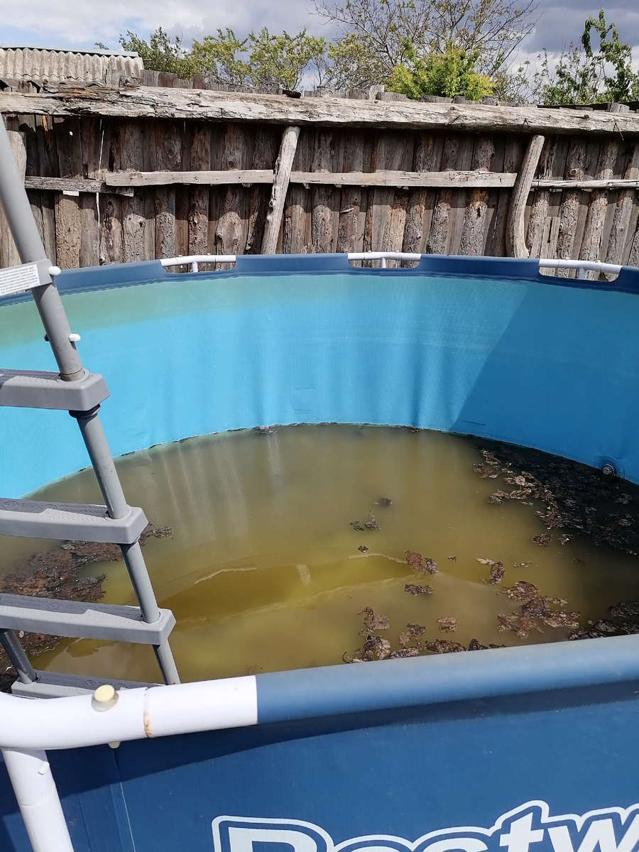 Вот так страшно бассейн выглядит весной