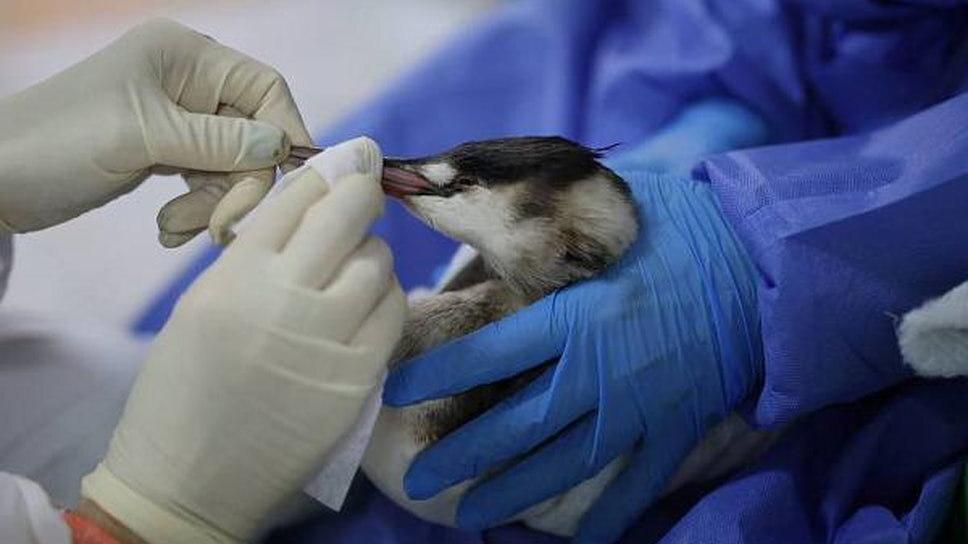 Фото: пресс-служба администрации Новороссийска