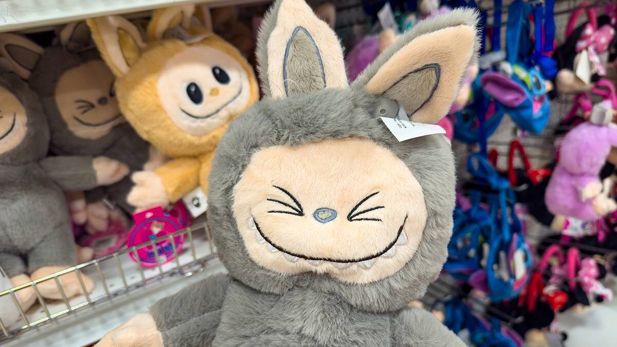    Фото: Shutterstock