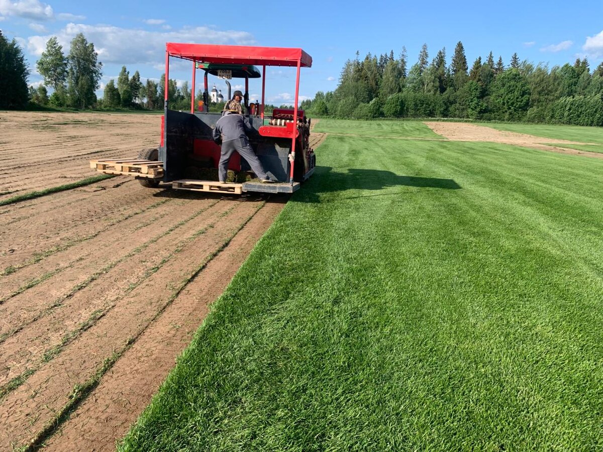 Производство рулонного газона в Москве и Московской области