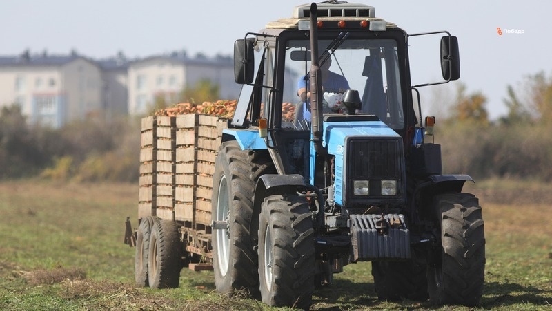      Фото: Дмитрий Ахмадуллин / / ИА «Победа26»