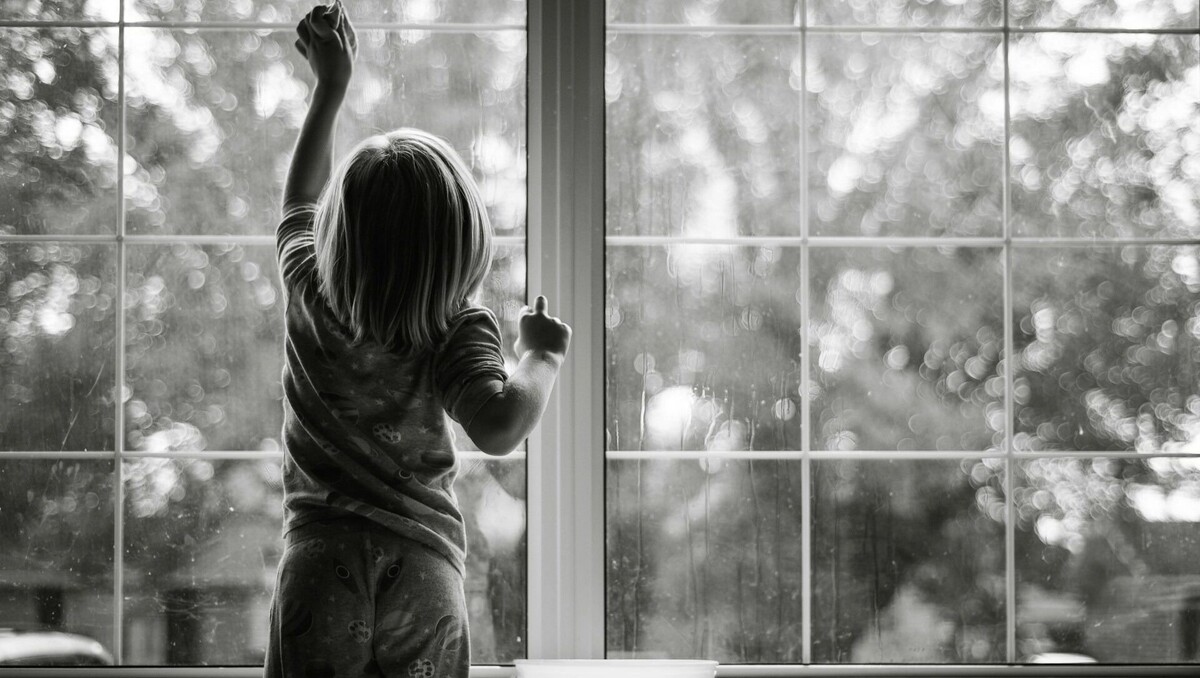     Автор: Unsplash