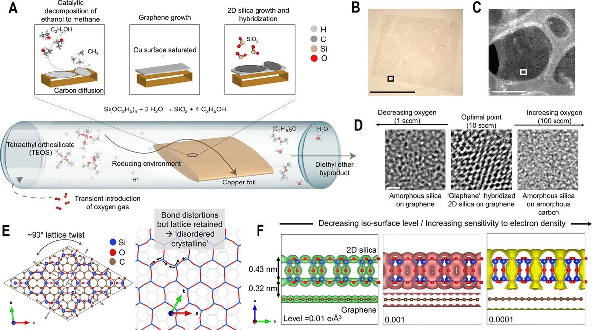 Синтез и структура глафена. Источник: Advanced Materials