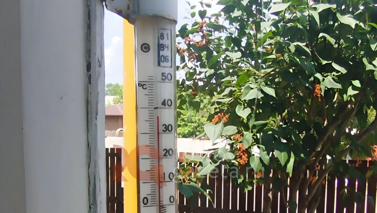     Источник: rostovgazeta.ru