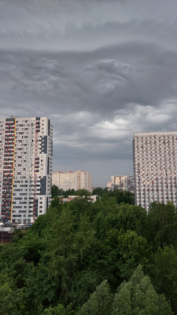 Вид из моего окна. Хотя, дождь назрел только к 15:00.