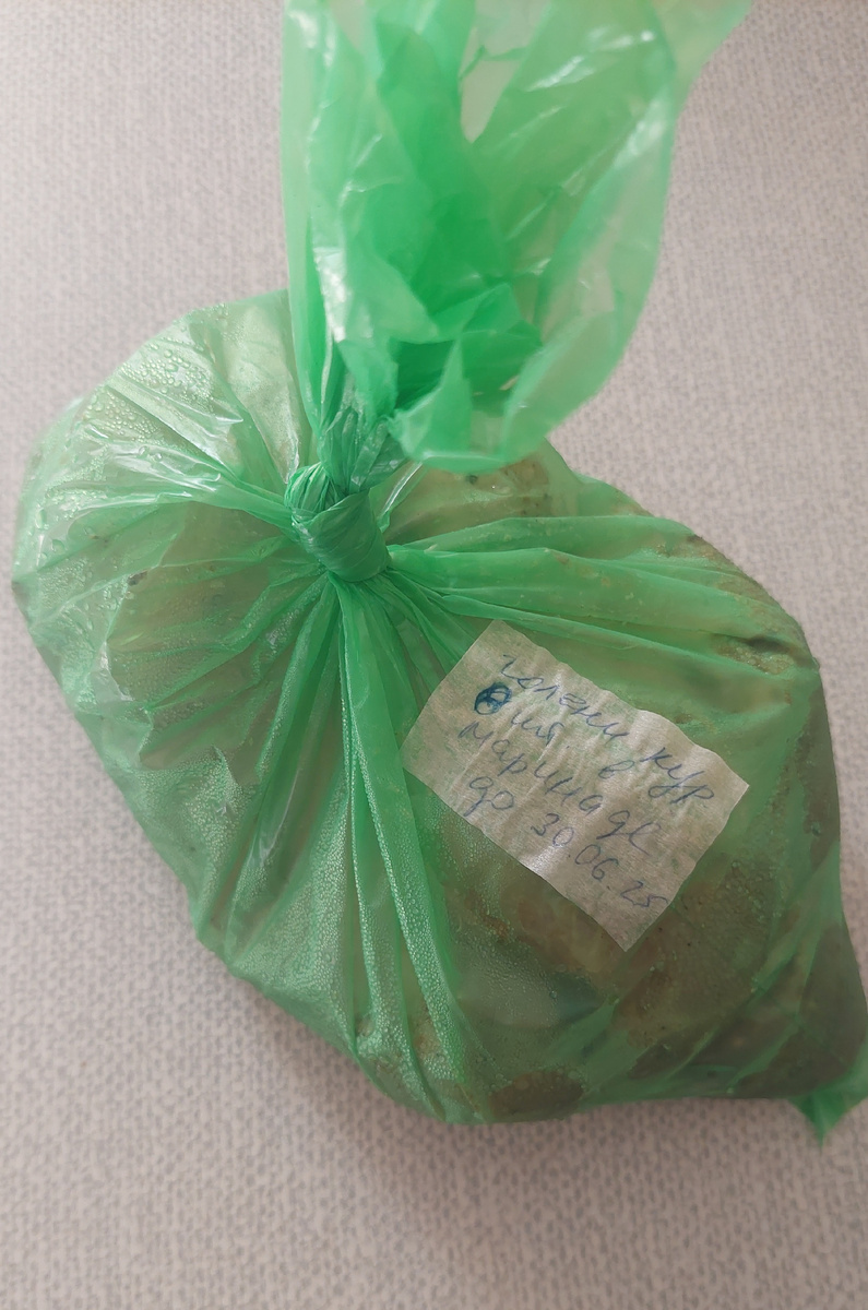 Такие заготовки в маринаде хранятся в морозилке до 2-ух месяцев