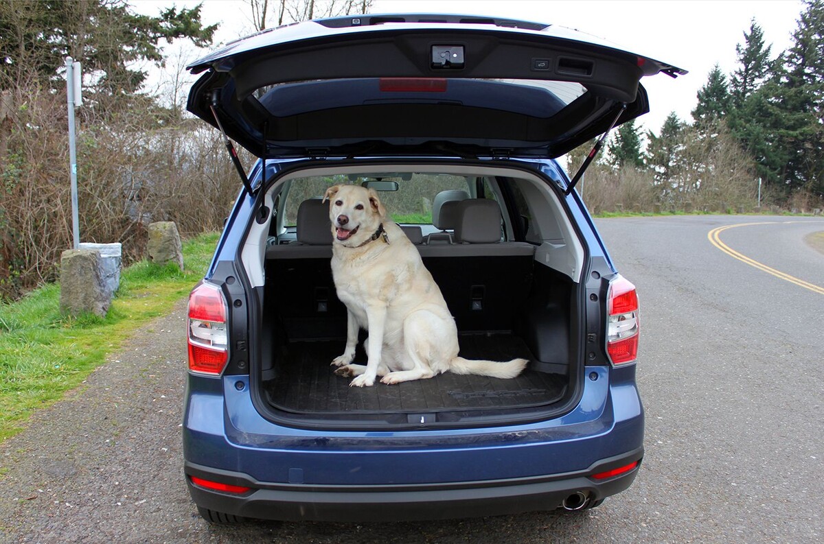 Резиновые коврики в салон