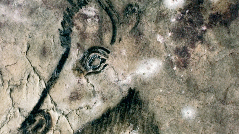    В Австралии раскопали древнюю "капсулу времени" возрастом 50 000 лет и вот что внутри