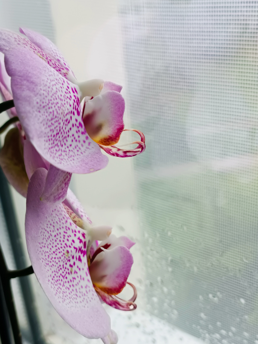 Обложка статьи.