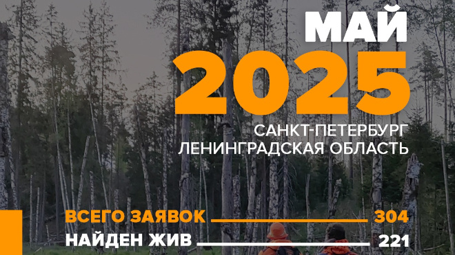 Фото: "Поисковый отряд "ЛизаАлерт" Питер/ВКонтакте"