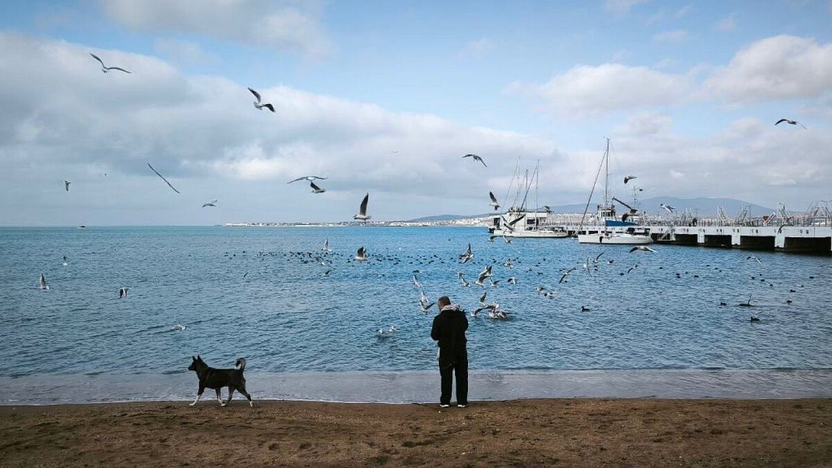    Фото: телеканал «Краснодар»