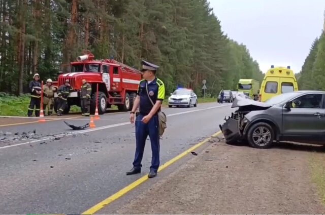    «Ниссан» вылетел на обочину Фото: Госавтоинспекция Пермского края