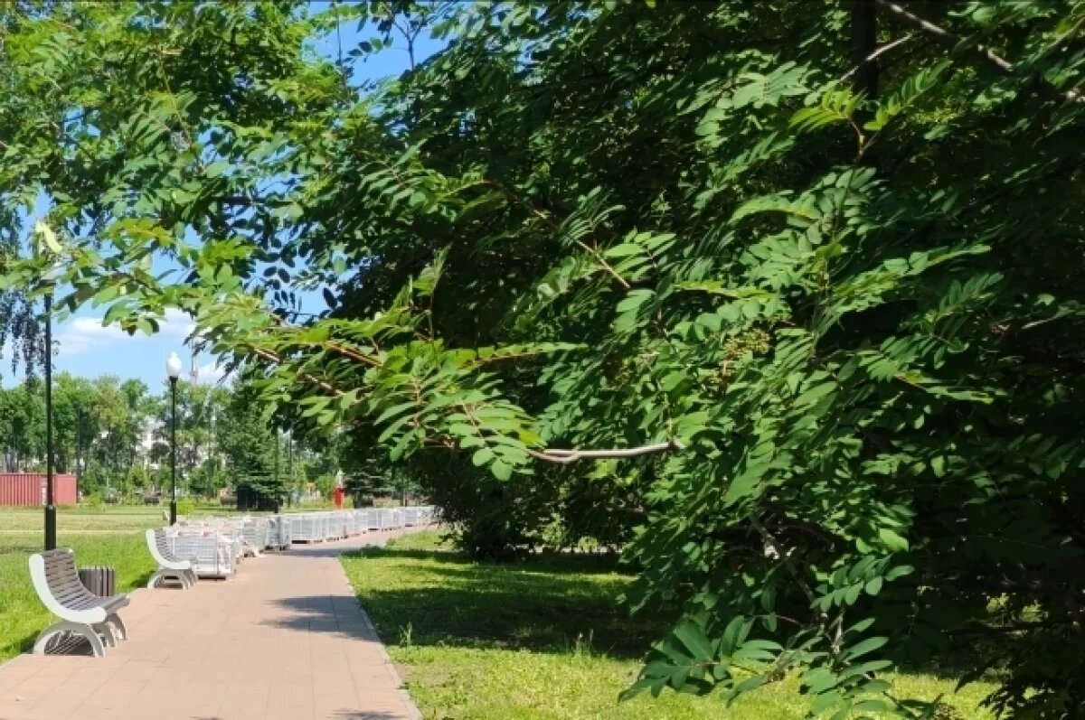    Благоустройство парка Тольятти оценят независимые эксперты