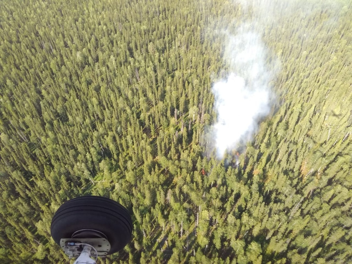    Лесной пожар. Фото: Минприроды Карелии