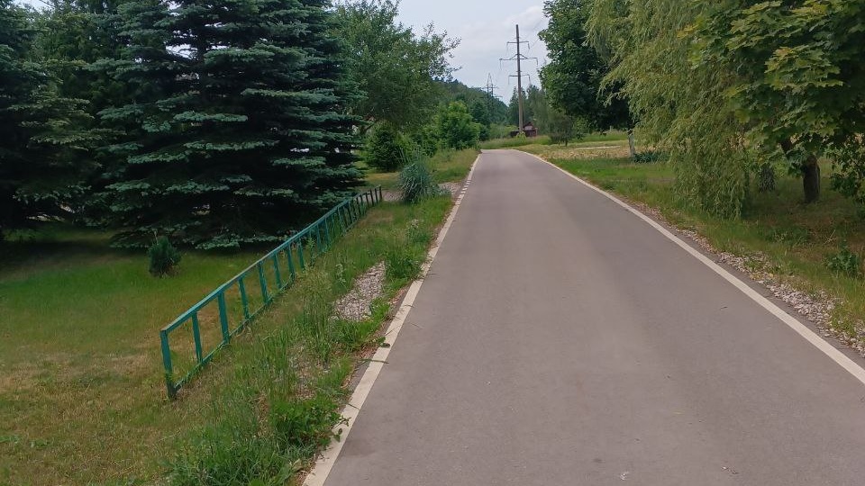 🕊️Я обожаю гулять на природе, когда вокруг красивые деревья, свежий воздух и ощущение спокойствия