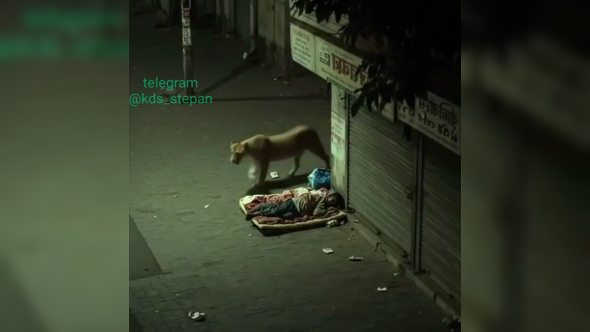 Автор: В. Панченко