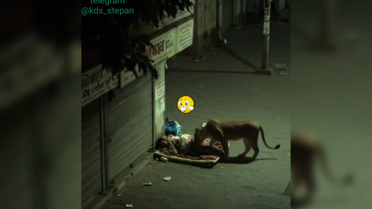 Автор: В. Панченко