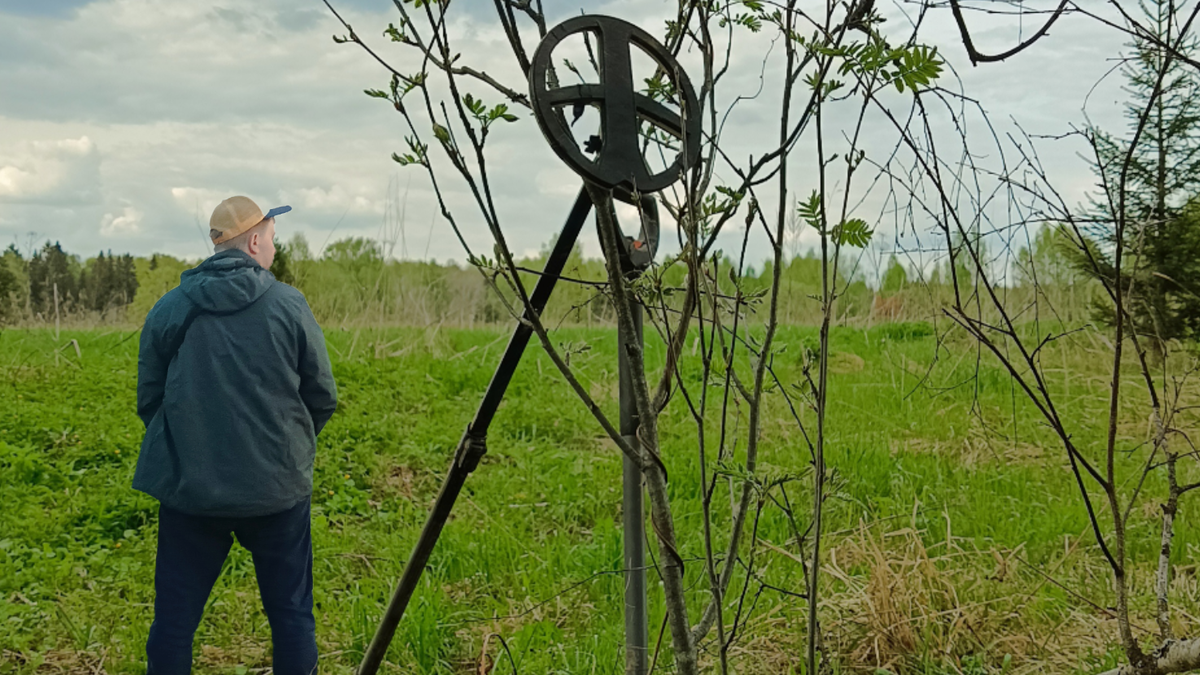 Товарищ Серёга. 