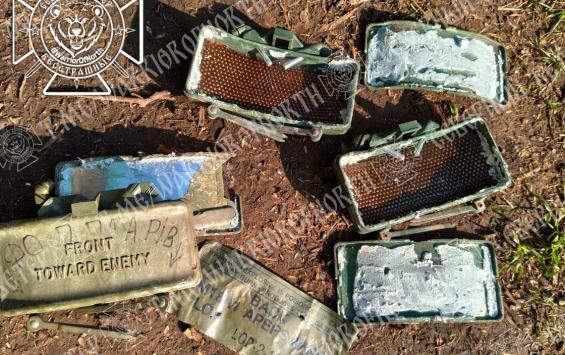 Фото: телеграм-канал Северный ветер