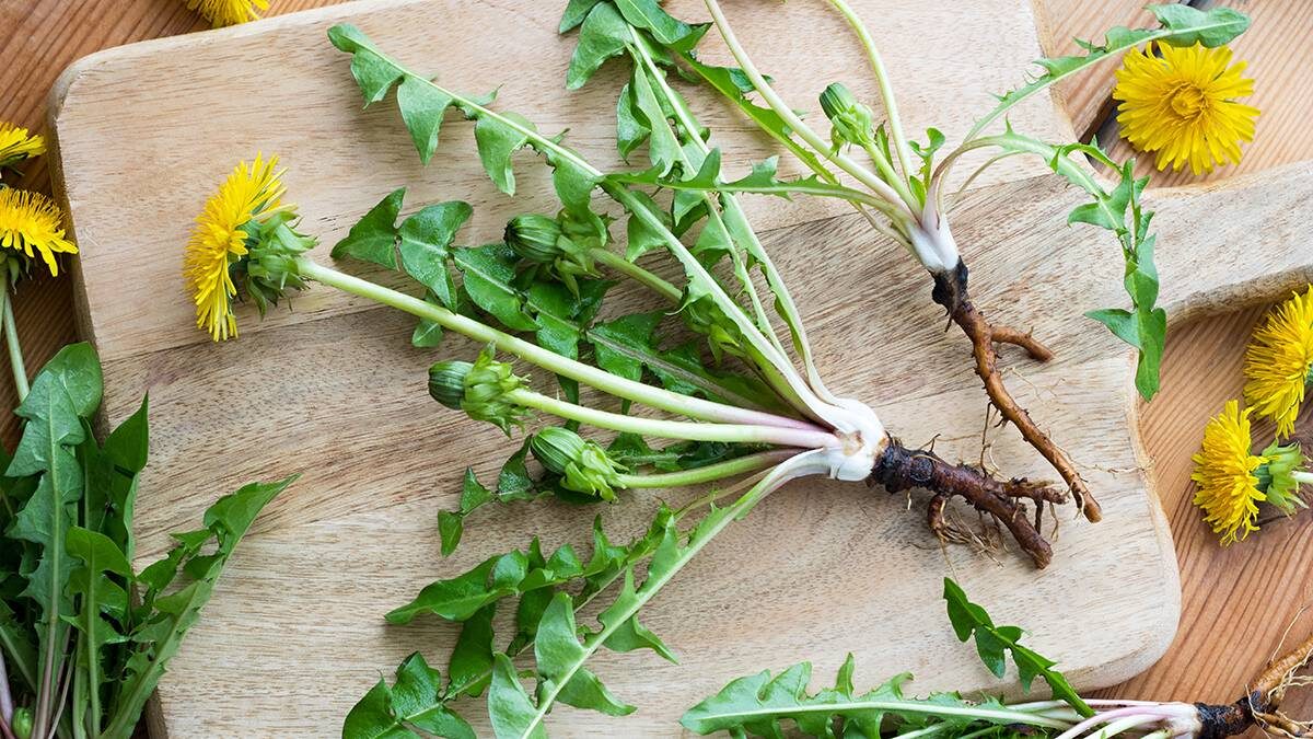    Фото: Shutterstock